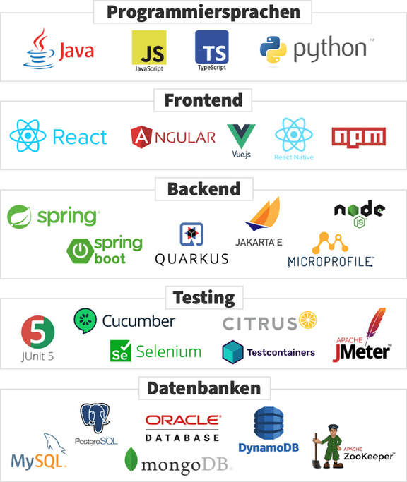 Logos: Programmiersprachen / Frontend / Backend / Testing / Datenbanken